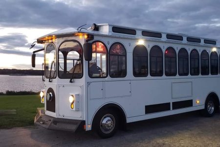 Trolley - Chauffeur Todd (1)